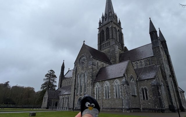 Hand-painted penguin stone #1054 hidden at St. Mary's Cathedral, Killarney, Ireland