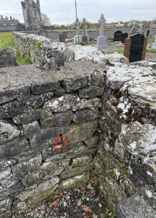 Hand-painted penguin stone #1056 hidden at Claregalway Friary, Claregalway, Ireland (photo 4 of 4)