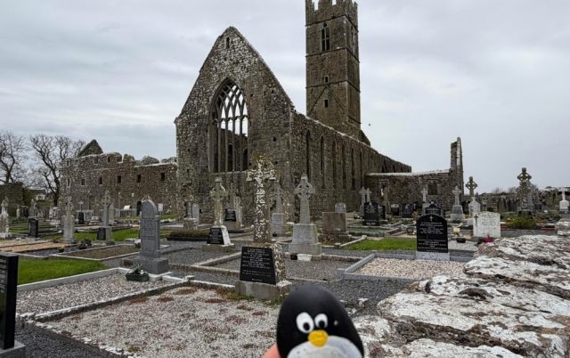 Ručne maľovaný tučniakový kameň č. 1056 ukrytý na mieste Claregalway Friary, Claregalway, Írsko