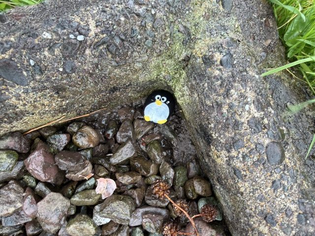 Hand-painted penguin stone #1058 hidden at Birthplace of Daniel O'Connell, Cahersiveen, Ireland (photo 5 of 5)