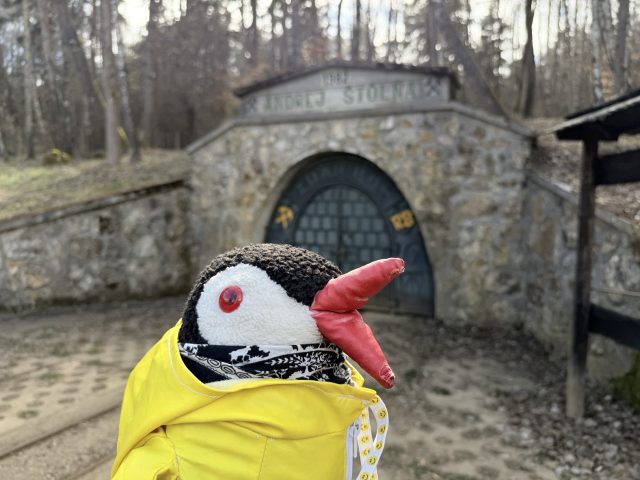 Hand-painted penguin stone #1060 hidden at Andrej Stolna, Kremnica, Slovakia (photo 2 of 5)