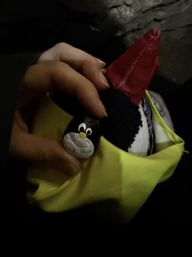 Hand-painted penguin stone #1060 hidden at Andrej Stolna, Kremnica, Slovakia (photo 3 of 5)