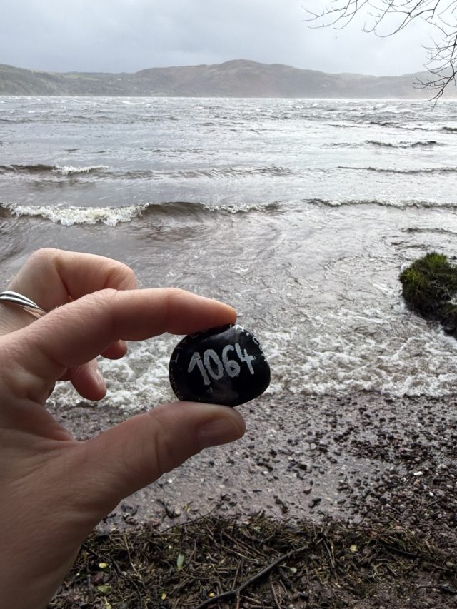 Hand-painted penguin stone #1064 hidden at Caragh Lake, Killorglin, Ireland (photo 2 of 4)