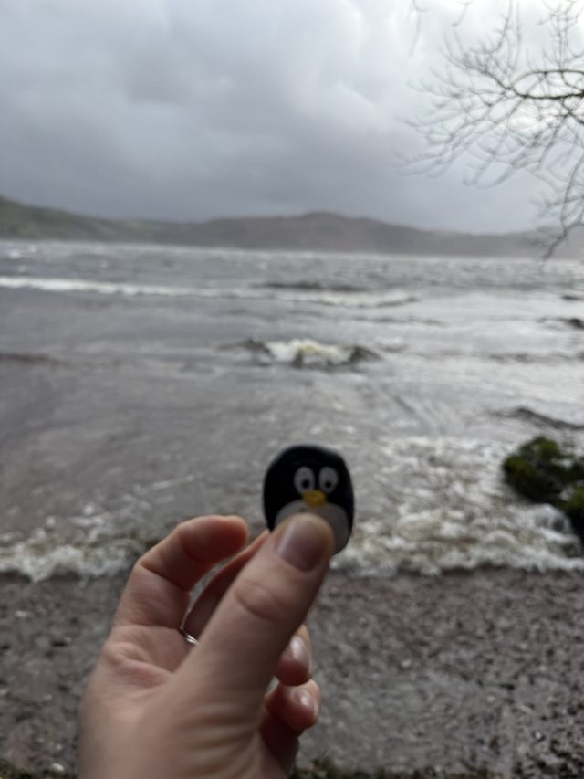 Hand-painted penguin stone #1064 hidden at Caragh Lake, Killorglin, Ireland (photo 3 of 4)