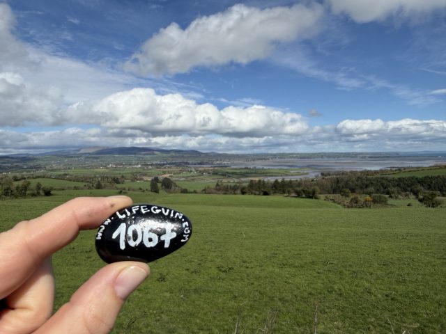 Hand-painted penguin stone #1067 hidden at Stone Wall, Close to Ballinalira, Ireland (photo 3 of 4)