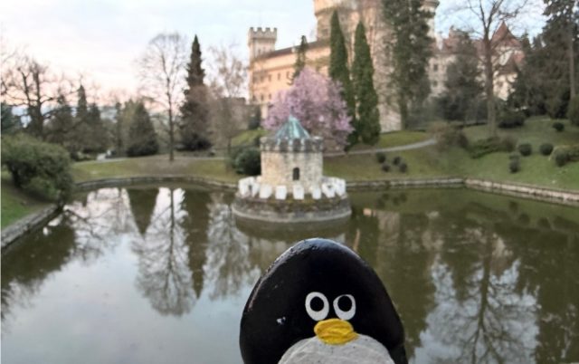 Hand-painted penguin stone #1068 hidden at Bench close to Bojnice Rotunda, Bojnice, Slovakia