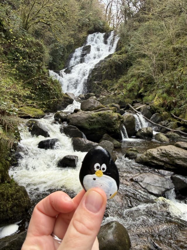 Hand-painted penguin stone #1071 hidden at Torc Waterfall, Killarney, Ireland (photo 2 of 5)