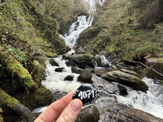 Hand-painted penguin stone #1071 hidden at Torc Waterfall, Killarney, Ireland (photo 3 of 5)