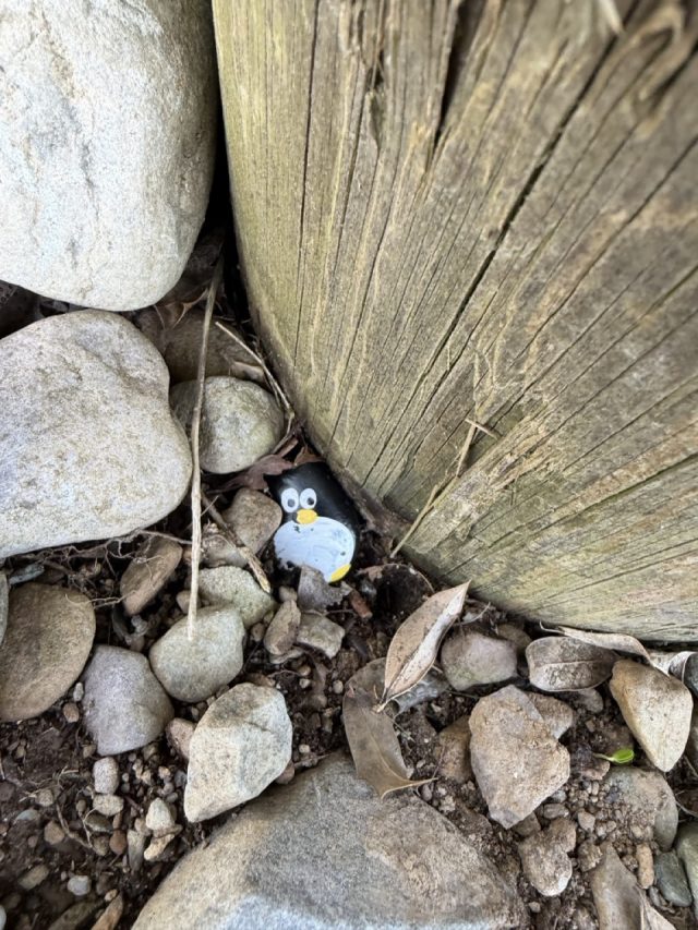 Hand-painted penguin stone #1078 hidden at St. Agatha's Catholic Church, Glenflesk, Ireland (photo 4 of 5)