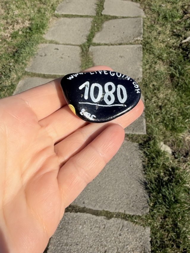 Hand-painted penguin stone #1080 hidden at Pramen Budiska, Budis, Slovakia (photo 2 of 5)