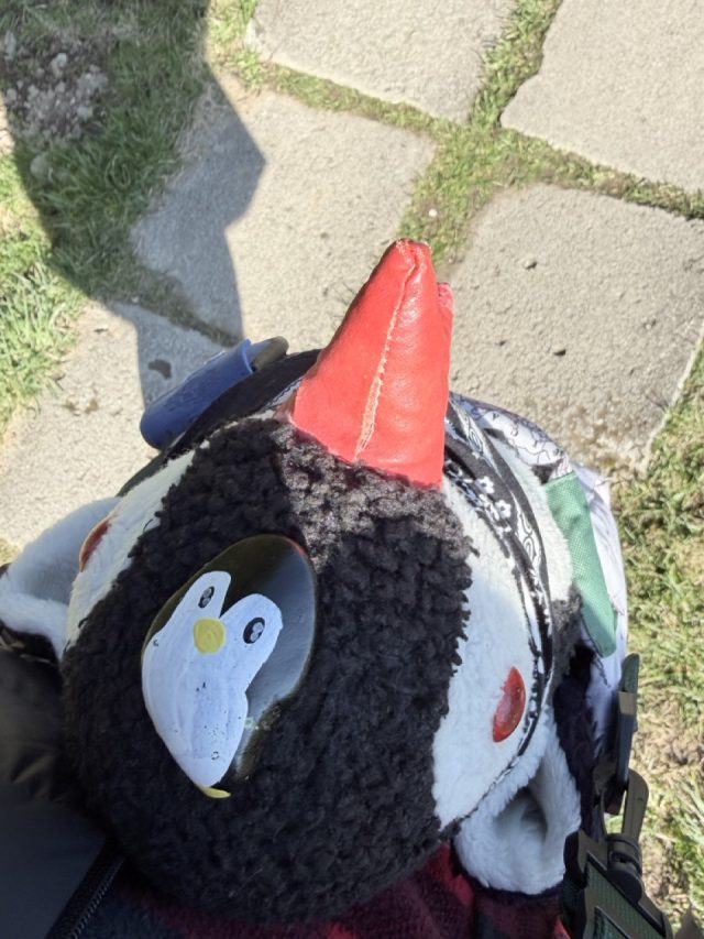 Hand-painted penguin stone #1080 hidden at Pramen Budiska, Budis, Slovakia (photo 3 of 5)