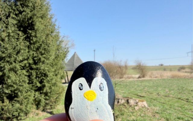 Ručne maľovaný tučniakový kameň č. 1080 ukrytý na mieste Prameň Budiška, Budiš, Slovensko