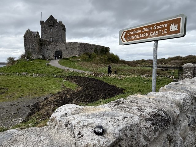 Hand-painted penguin stone #1081 hidden at Dunguaire Castle, Kinvarra, Ireland (photo 3 of 5)