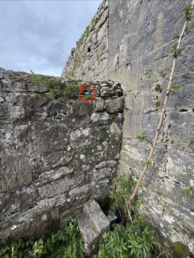 Hand-painted penguin stone #1081 hidden at Dunguaire Castle, Kinvarra, Ireland (photo 5 of 5)