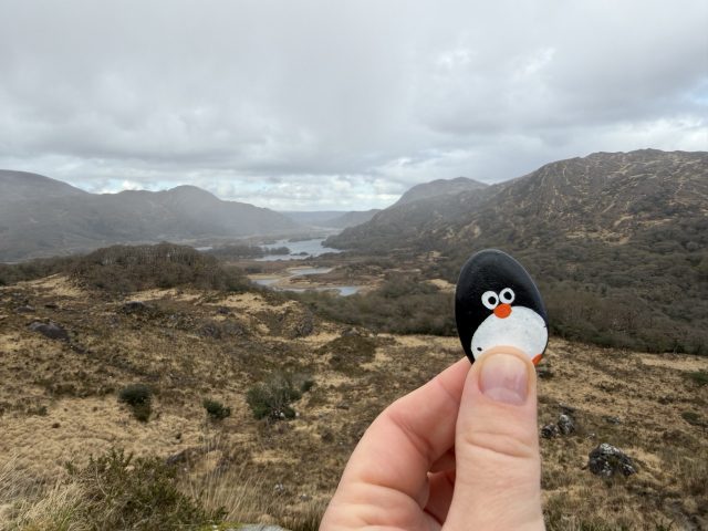 Hand-painted penguin stone #1095 hidden at Ladies' View, Ring of Kerry, Ireland (photo 2 of 5)