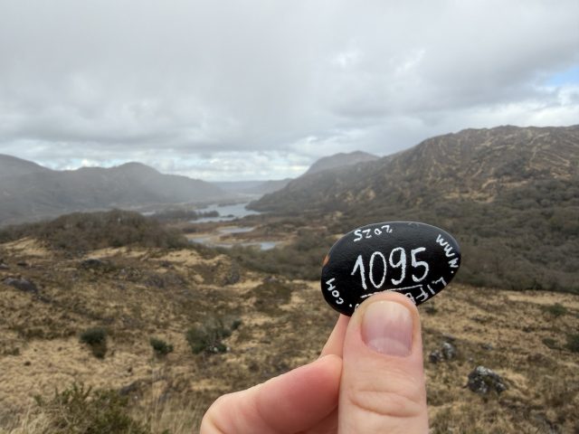 Hand-painted penguin stone #1095 hidden at Ladies' View, Ring of Kerry, Ireland (photo 3 of 5)
