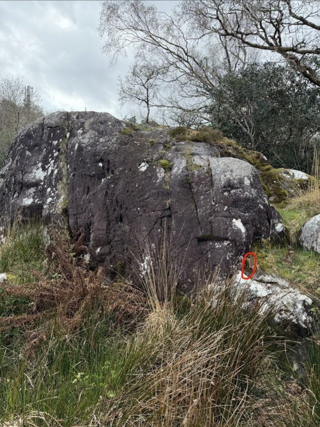 Hand-painted penguin stone #1095 hidden at Ladies' View, Ring of Kerry, Ireland (photo 5 of 5)