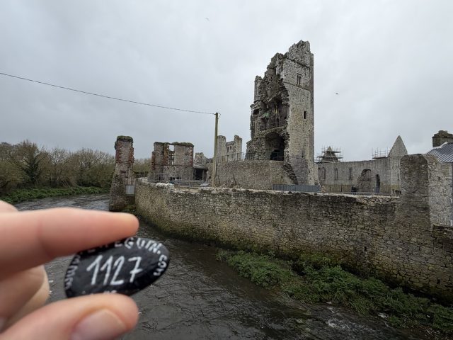 Hand-painted penguin stone #1127 hidden at Askeaton Castle, Askeaton, Ireland (photo 2 of 5)