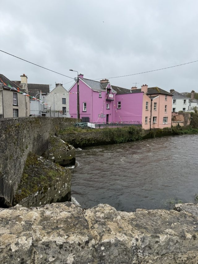 Hand-painted penguin stone #1127 hidden at Askeaton Castle, Askeaton, Ireland (photo 5 of 5)