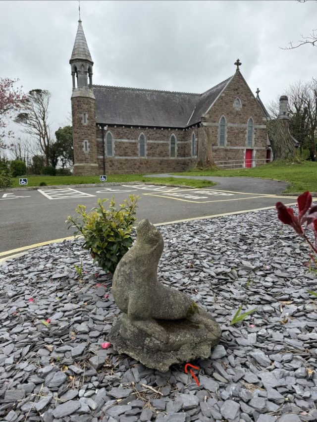 Hand-painted penguin stone #1134 hidden at Church of the Immaculate Conception, Valentia, Ireland (photo 4 of 5)