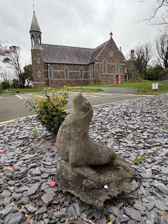 Hand-painted penguin stone #1134 hidden at Church of the Immaculate Conception, Valentia, Ireland (photo 5 of 5)