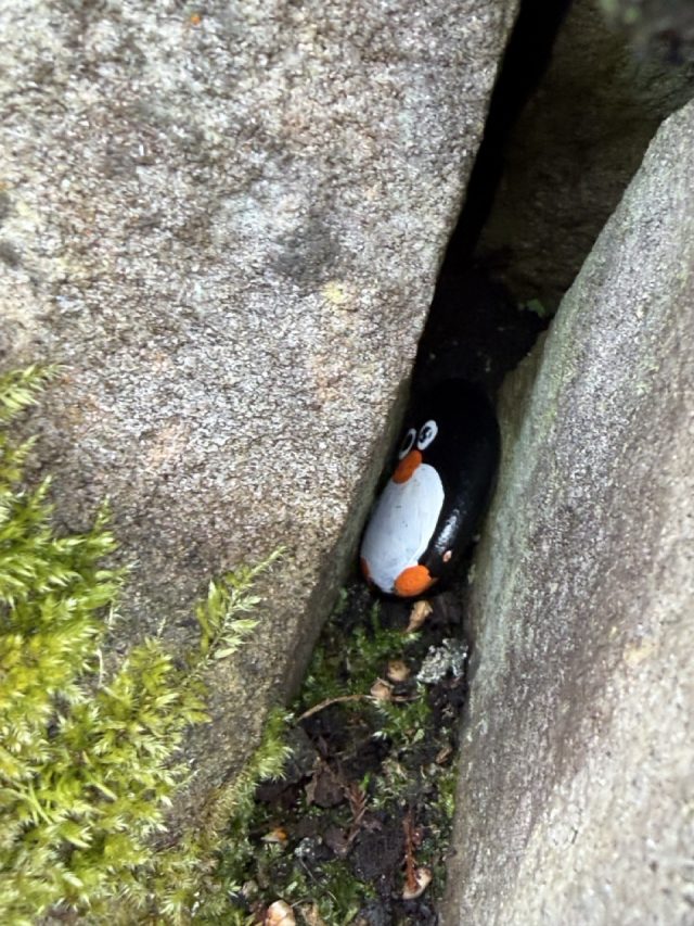 Hand-painted penguin stone #1170 hidden at Upper Lake Killarney, Gortroe, Ireland (photo 2 of 5)