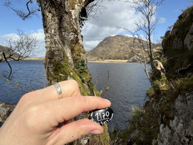 Hand-painted penguin stone #1170 hidden at Upper Lake Killarney, Gortroe, Ireland (photo 4 of 5)