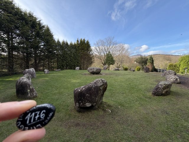 Hand-painted penguin stone #1176 hidden at Kenmare Stone Circle, Kenmare, Ireland (photo 2 of 5)