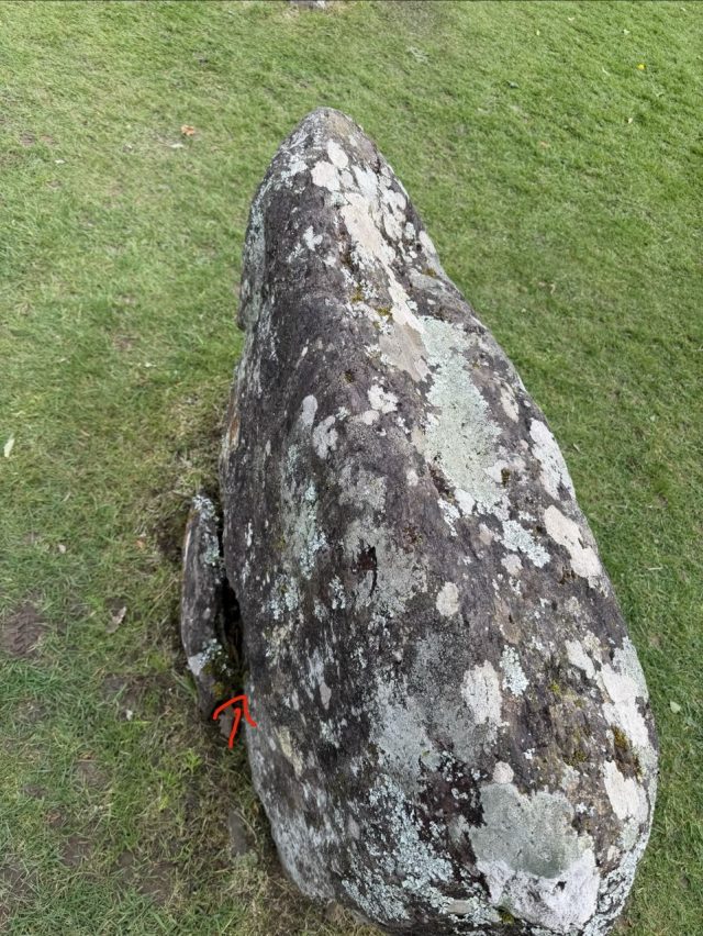 Hand-painted penguin stone #1176 hidden at Kenmare Stone Circle, Kenmare, Ireland (photo 4 of 5)
