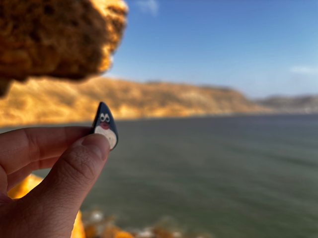 Hand-painted penguin stone #1200 hidden at Cliffs close to SurfHub Imsouane Surf School, Imsouane, Morocco (photo 2 of 5)