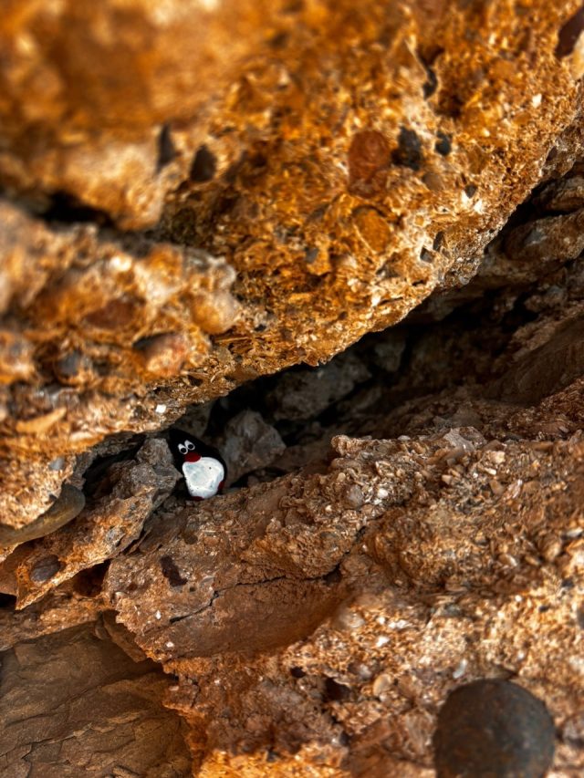 Hand-painted penguin stone #1200 hidden at Cliffs close to SurfHub Imsouane Surf School, Imsouane, Morocco (photo 3 of 5)