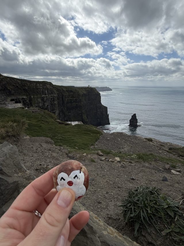 Hand-painted penguin stone #1402 hidden at Cliffs of Moher, Slievenageeragh, Ireland (photo 3 of 5)