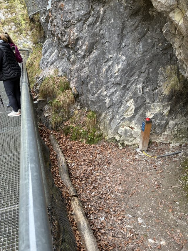 Hand-painted penguin stone #231 hidden at Hollbrucke, Leutasch, Austria (photo 5 of 5)