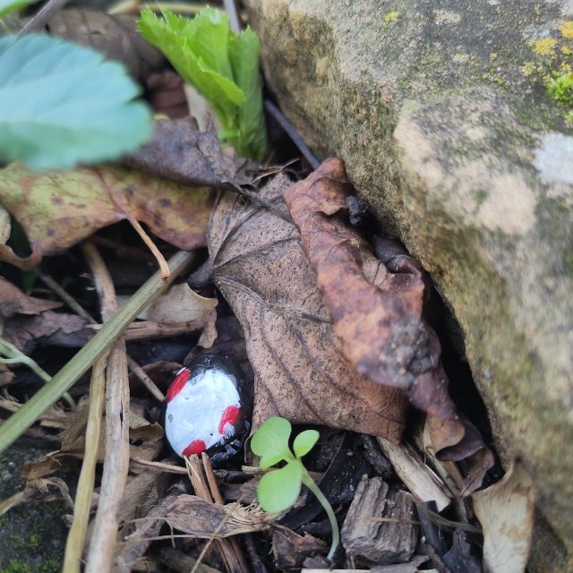 Hand-painted penguin stone #419 hidden at Nottingham Castle, Nottingham, United Kingdom (photo 2 of 4)