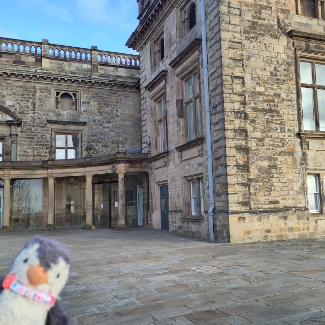 Hand-painted penguin stone #419 hidden at Nottingham Castle, Nottingham, United Kingdom (photo 3 of 4)