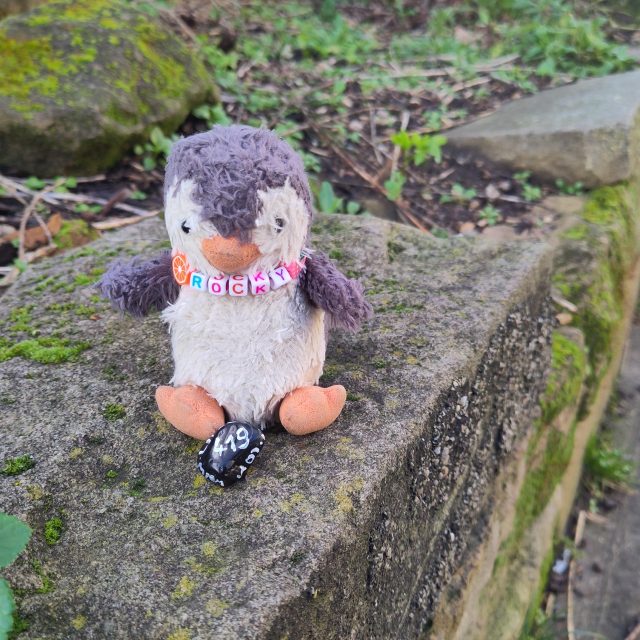 Hand-painted penguin stone #419 hidden at Nottingham Castle, Nottingham, United Kingdom (photo 4 of 4)
