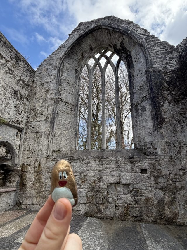 Hand-painted penguin stone #516 hidden at Muckross Abbey, Muckross, Ireland (photo 2 of 5)