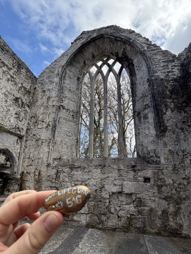Hand-painted penguin stone #516 hidden at Muckross Abbey, Muckross, Ireland (photo 3 of 5)