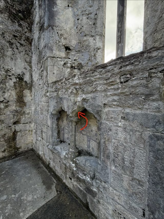 Hand-painted penguin stone #516 hidden at Muckross Abbey, Muckross, Ireland (photo 4 of 5)