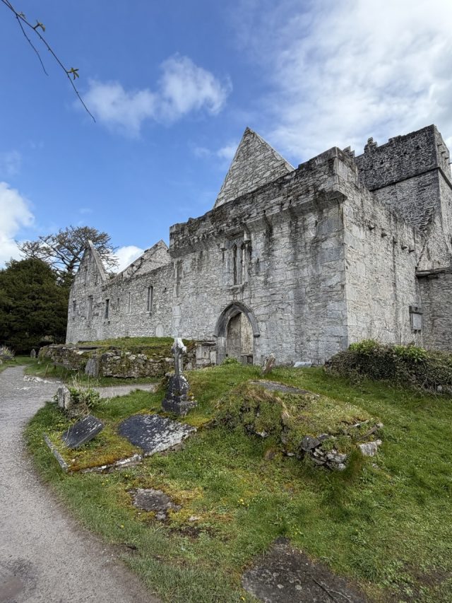 Hand-painted penguin stone #516 hidden at Muckross Abbey, Muckross, Ireland (photo 5 of 5)