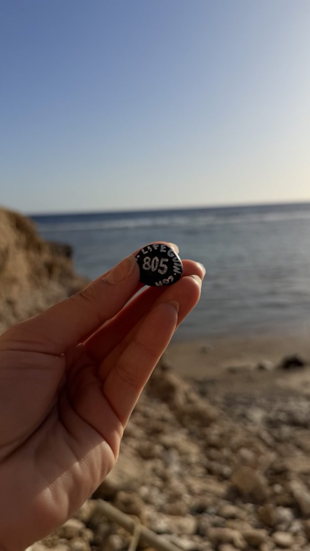 Hand-painted penguin stone #805 hidden at Rock Wall, Marsa Alam, Egypt (photo 3 of 5)