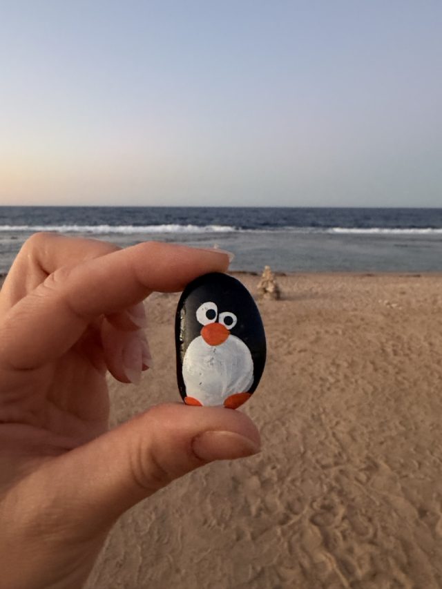Hand-painted penguin stone #828 hidden at Stone Tower, Marsa Allam, Egypt (photo 3 of 5)