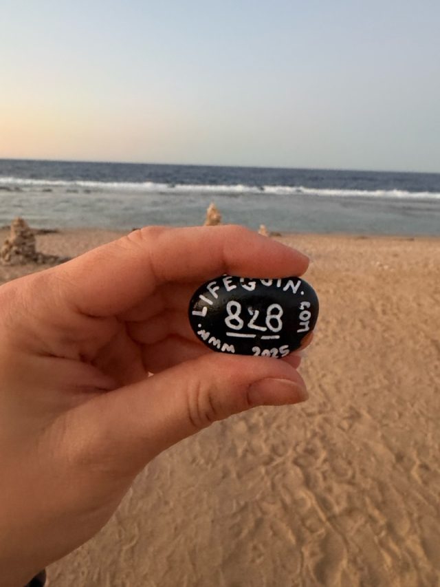 Hand-painted penguin stone #828 hidden at Stone Tower, Marsa Allam, Egypt (photo 4 of 5)