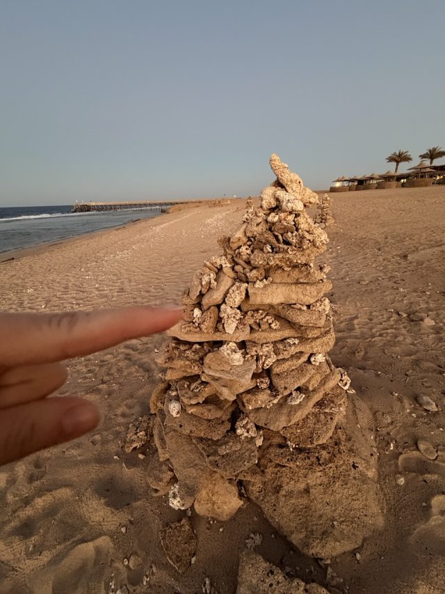 Hand-painted penguin stone #828 hidden at Stone Tower, Marsa Allam, Egypt (photo 5 of 5)