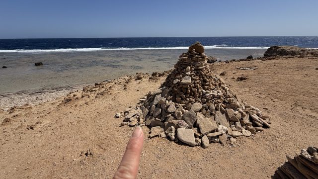 Hand-painted penguin stone #844 hidden at Hill of Memory Hearts, Marsa Alam, Egypt (photo 2 of 5)