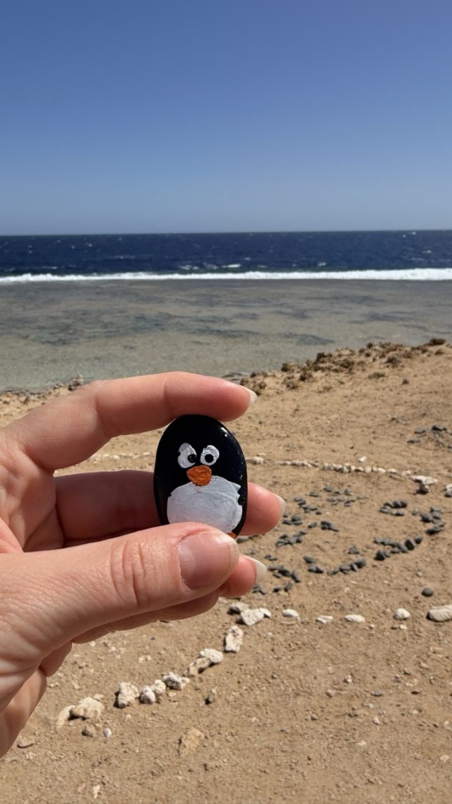 Hand-painted penguin stone #844 hidden at Hill of Memory Hearts, Marsa Alam, Egypt (photo 3 of 5)