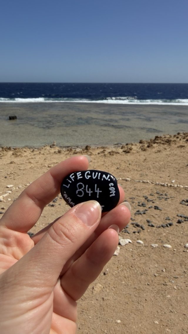 Hand-painted penguin stone #844 hidden at Hill of Memory Hearts, Marsa Alam, Egypt (photo 4 of 5)
