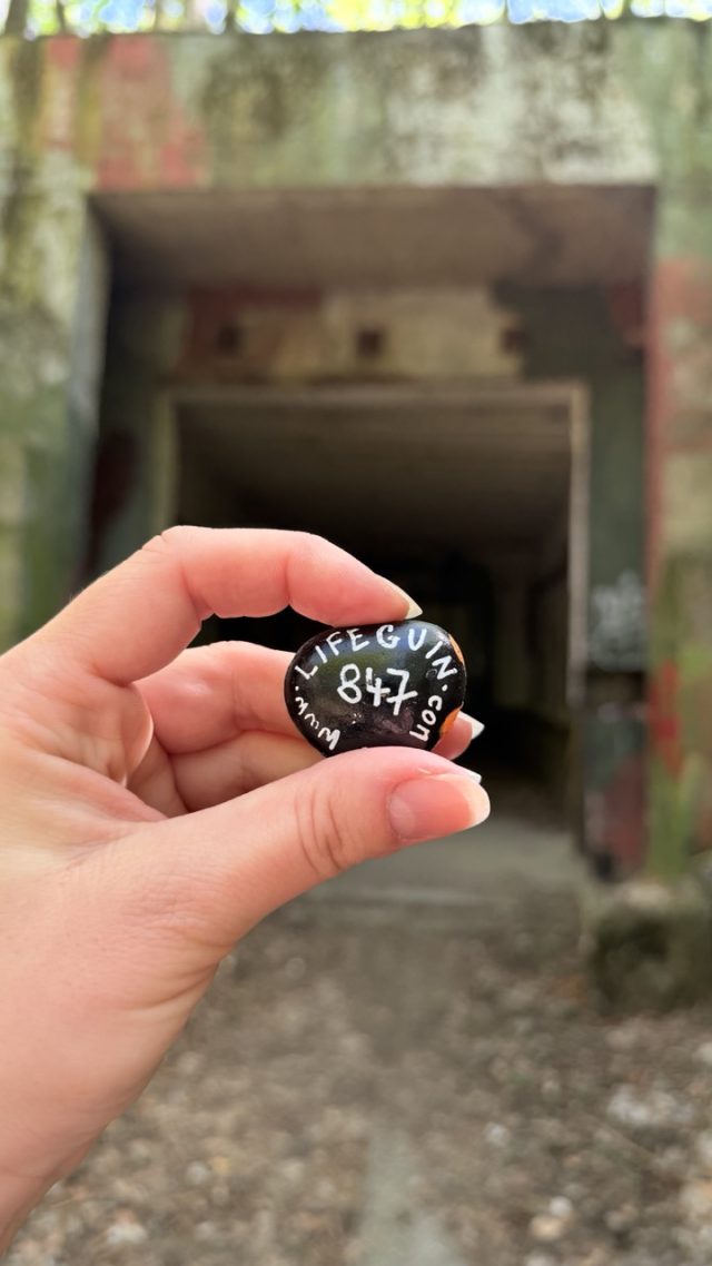 Hand-painted penguin stone #847 hidden at Devinska Kobyla, Bratislava, Slovakia (photo 2 of 5)