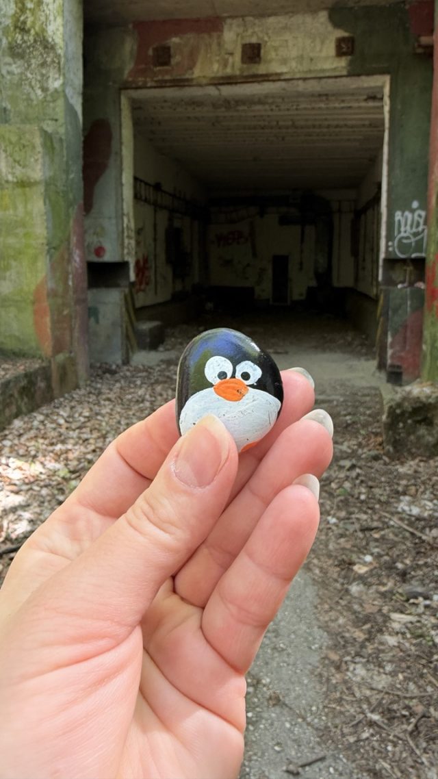 Hand-painted penguin stone #847 hidden at Devinska Kobyla, Bratislava, Slovakia (photo 3 of 5)