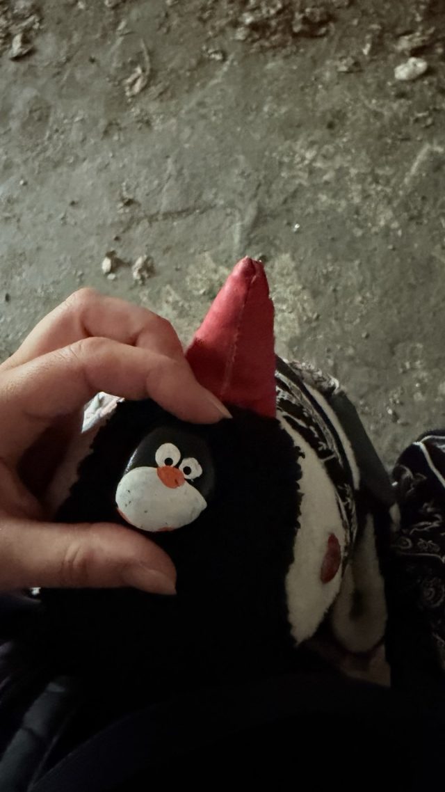 Hand-painted penguin stone #847 hidden at Devinska Kobyla, Bratislava, Slovakia (photo 4 of 5)